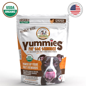 Front view of a bag of all natural chicken dog training treats Yummies for the Tummies by Momma Knows Best