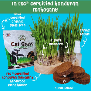 Cat grass in FSC certified mahogany planter plus