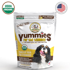 Front view of a bag of organic banana dog treats Yummies for the Tummies by Momma Knows Best
