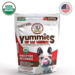 Front view of a bag of organic pumpkin dog treats Yummies for the Tummies by Momma Knows Best