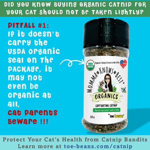 USDA organic catnip