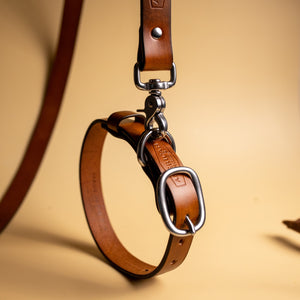 full grain leather dog collar and leash by American artisan