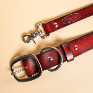 leather dog collar and leash by toe beans and American Artisan