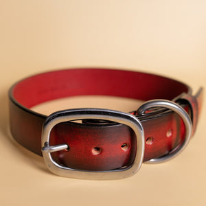 leather dog collar by toe beans and American Artisan large
