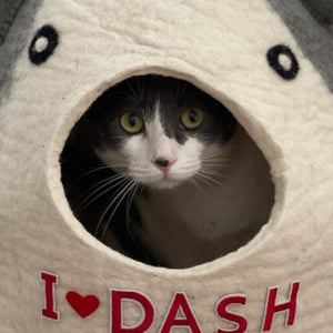 cat bed by Toe Beans