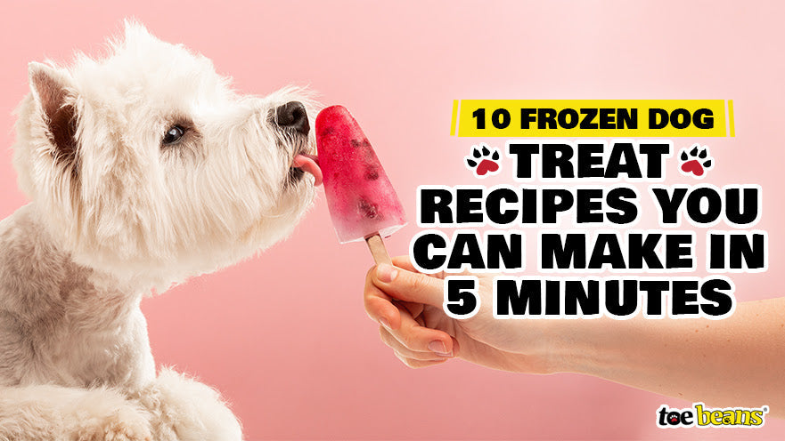 10 Frozen Dog Treat Recipes You Can Make in 5 Minutes by toe beans