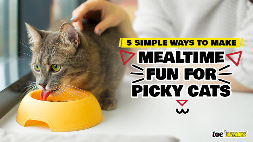 5 Simple Ways to Make Mealtime Fun for Picky Cats by toe beans