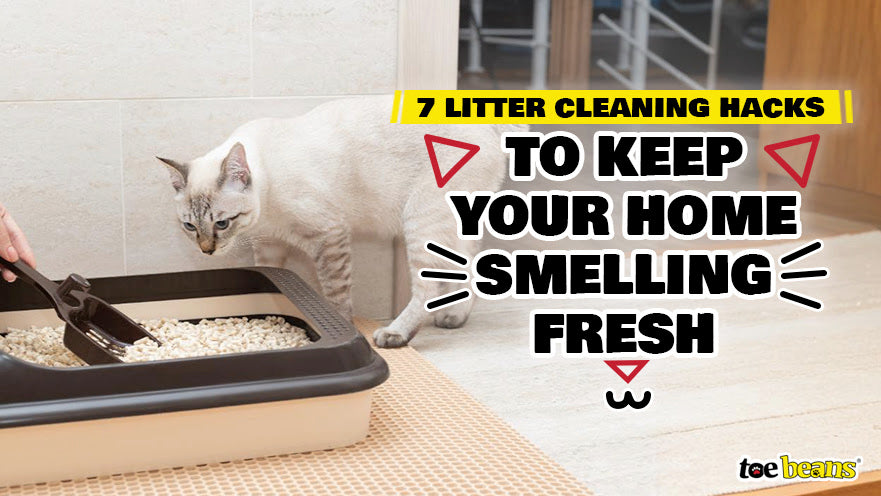 7 Litter Cleaning Hacks to Keep Your Home Smelling Fresh
