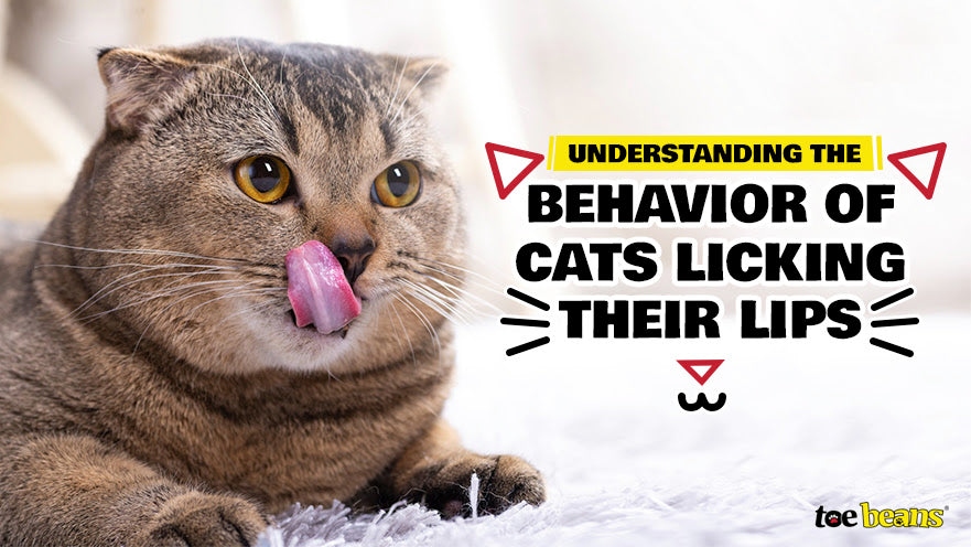Understanding the Behavior of Cats Licking Their Lips