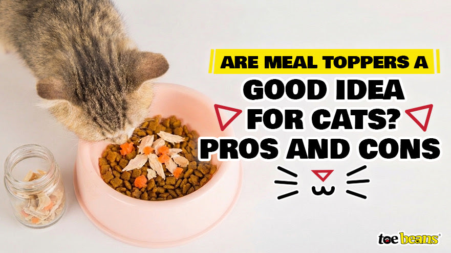 Are Meal Toppers a Good Idea for Cats? Pros and Cons