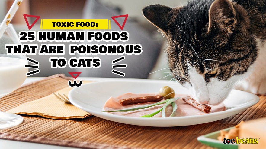 Toxic Food: 25 Human Foods That Are Poisonous to Cats