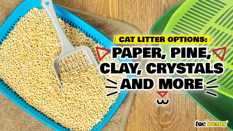 Cat Litter Options: Paper, Pine, Clay, Crystals and More by toe beans