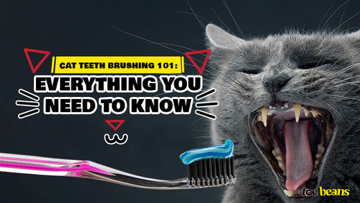 Cat Teeth Brushing 101: Everything You Need to Know by toe beans
