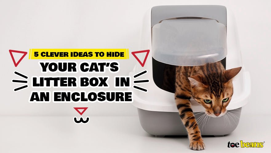 5 Clever Ideas to Hide Your Cat's Litter Box in an Enclosure