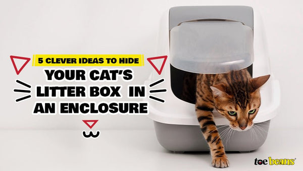 5 Clever Ideas to Hide Your Cat's Litter Box in an Enclosure - toe beans