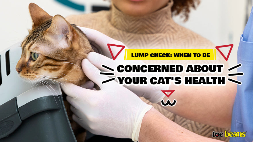 Lump Check: When to Be Concerned About Your Cat's Health