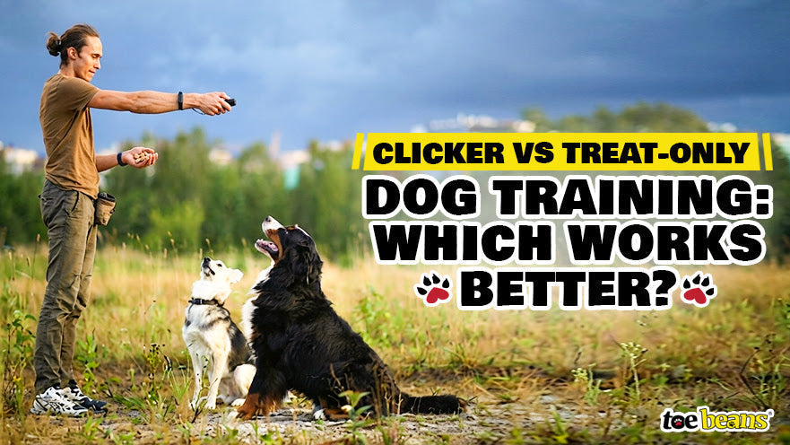 Clicker vs Treat-Only Dog Training: Which Works Better?