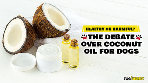 Healthy Or Harmful The Debate Over Coconut Oil For Dogs Photo Inspiration