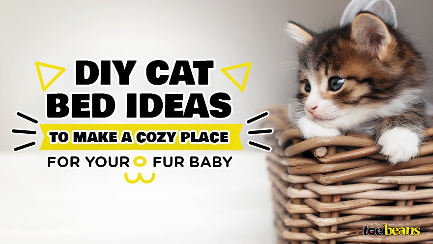 DIY cat bed ideas to make a cozy place for your fur baby by toe beans