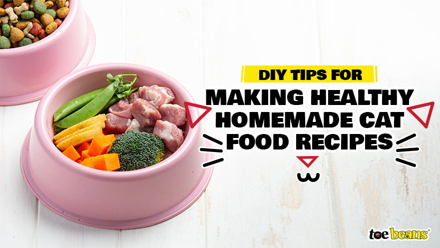 DIY Tips for Making Healthy Homemade Cat Food Recipes