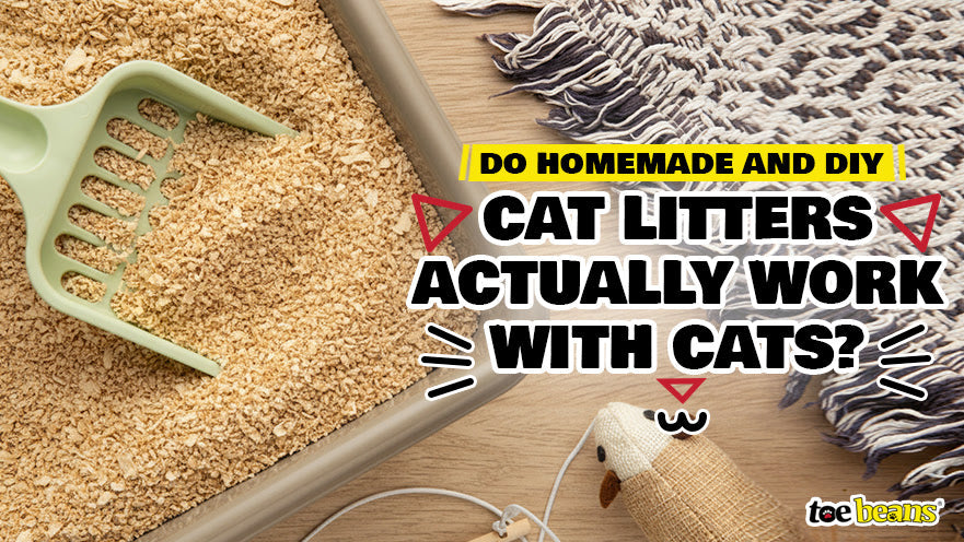 Do Homemade and DIY Cat Litters Actually Work with Cats?