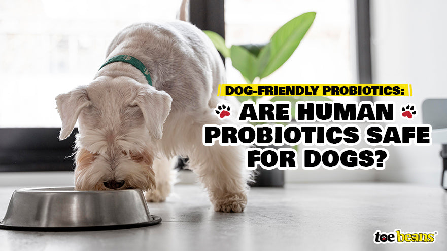 Dog-Friendly Probiotics: Are Human Probiotics Safe for Dogs?