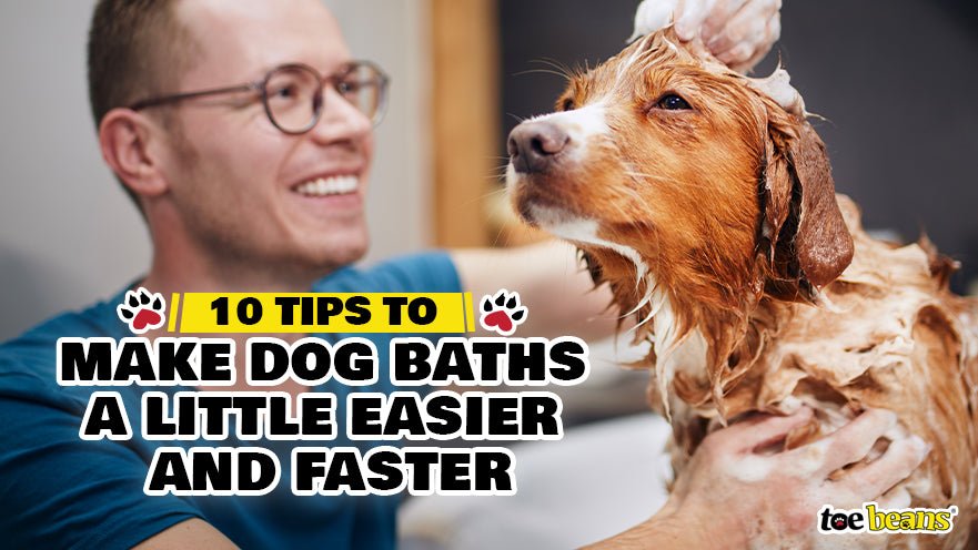 man bathing dog by toe beans