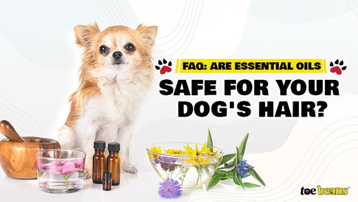 FAQ: Are Essential Oils Safe for Your Dog's Hair? by toe beans