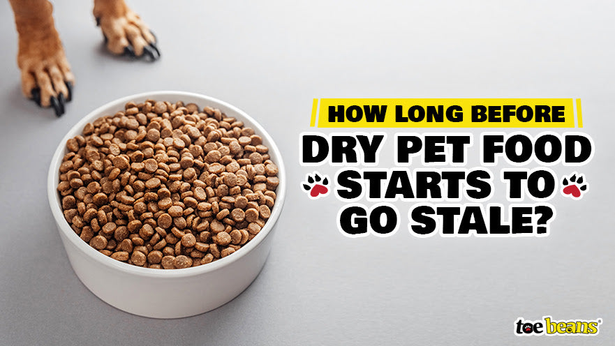 How Long Before Dry Pet Food Starts to Go Stale?