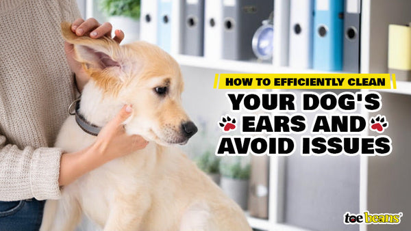 Stunning Dog Ear Vent Cleaning image