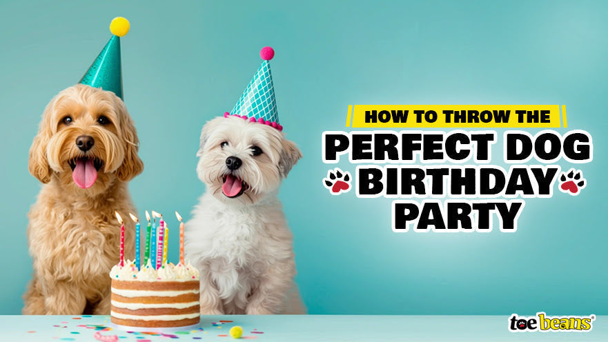 How to Throw the Perfect Dog Birthday Party by toe beans