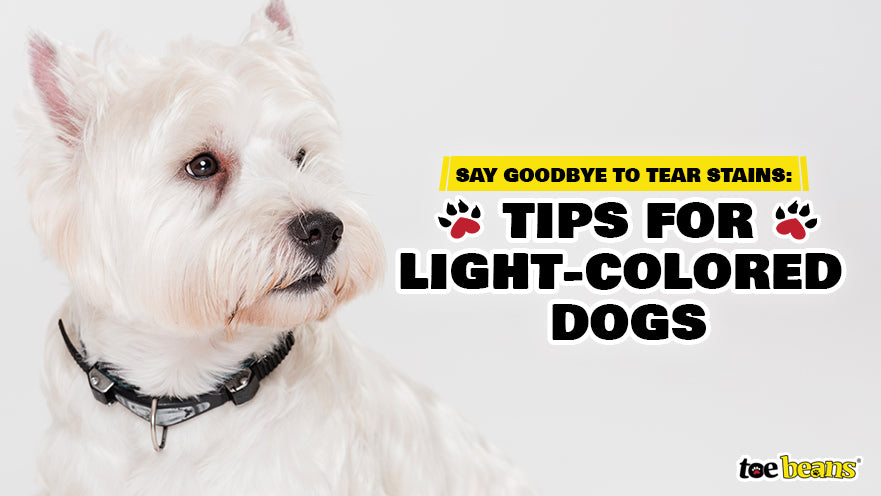 Say Goodbye to Tear Stains: Tips for Light-Colored Dogs