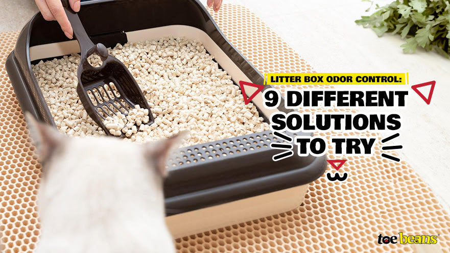 Litter Box Odor Control: 9 Different Solutions to Try - toe beans