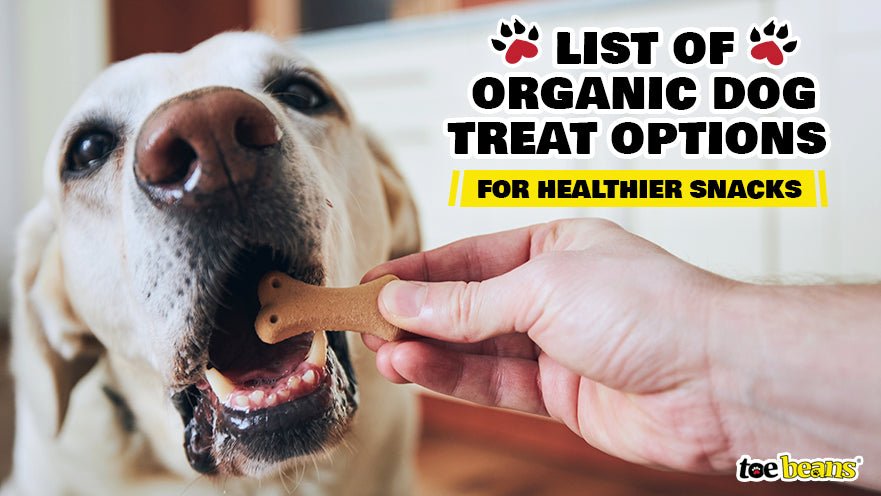 List of Organic Dog Treat Options for Healthier Snacks