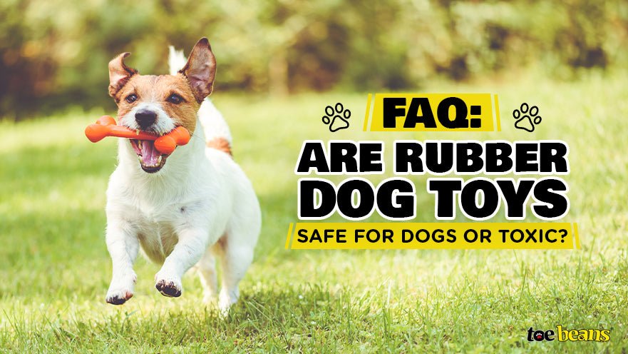 FAQ: Are Rubber Dog Toys Safe for Dogs or Toxic?