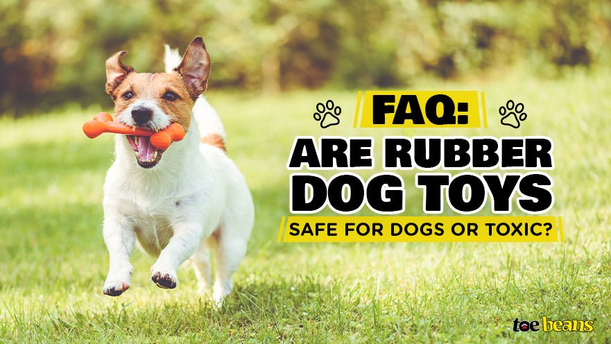 FAQ: Are Rubber Dog Toys Safe for Dogs or Toxic? by toe beans