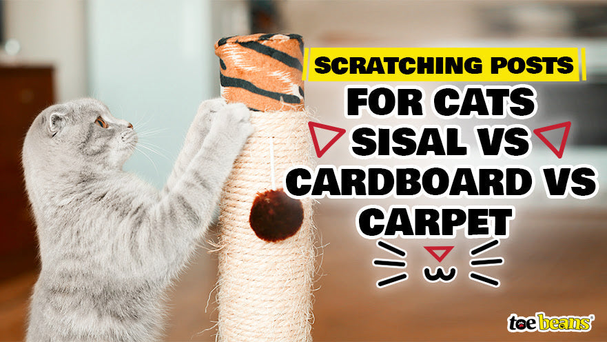 Sisal vs Cardboard vs Carpet Scratching Posts for Cats by toe beans