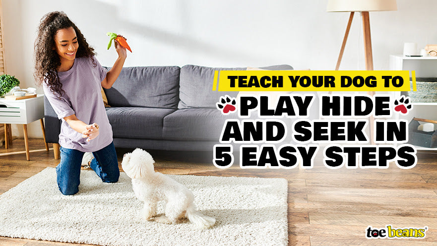 Teach Your Dog to Play Hide and Seek in 5 Easy Steps by toe beans