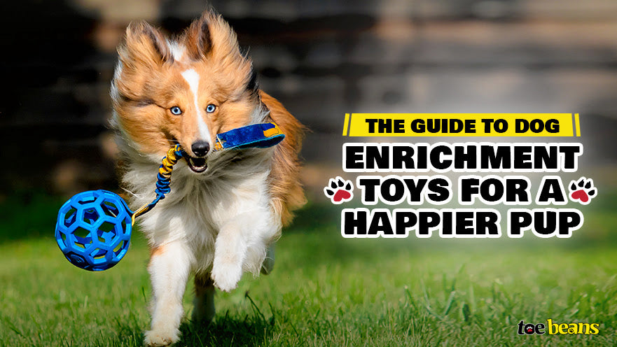 The Guide to Dog Enrichment Toys for a Happier Pup by toe beans