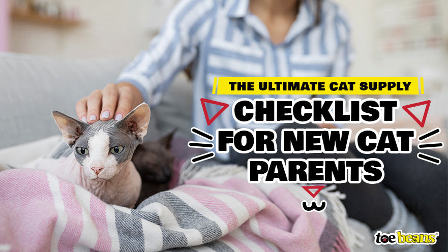 The Ultimate Cat Supply Checklist for New Cat Parents