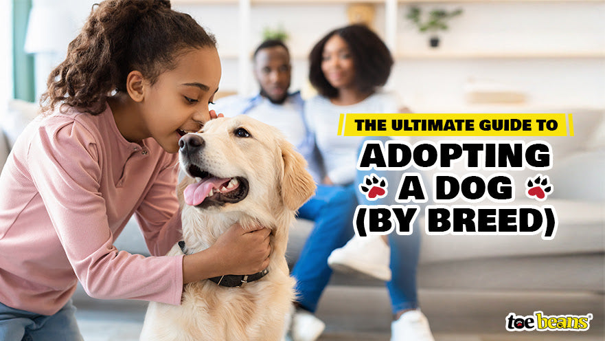 The Ultimate Guide to Adopting a Dog (By Breed)