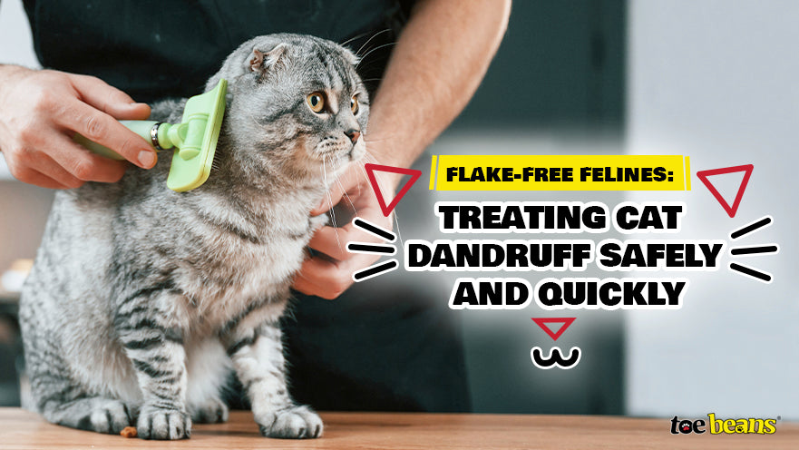 Flake-Free Felines: Treating Cat Dandruff Safely and Quickly