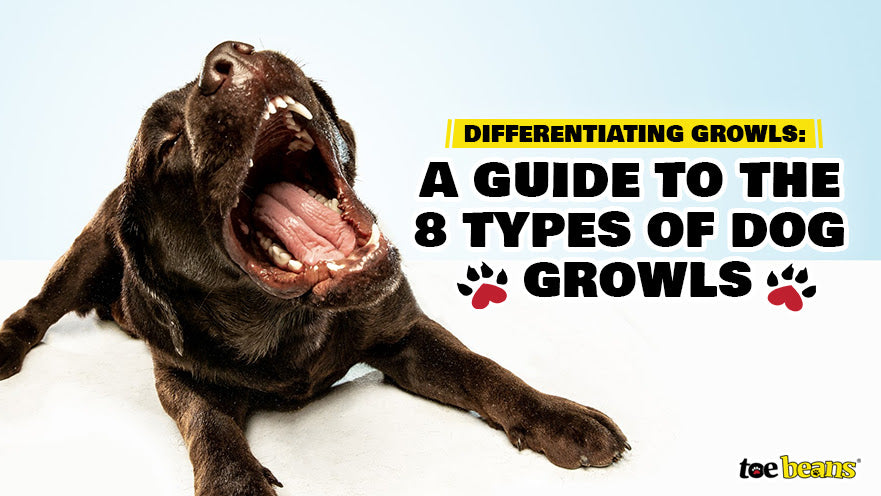 Differentiating Growls: A Guide to the 8 Types of Dog Growls