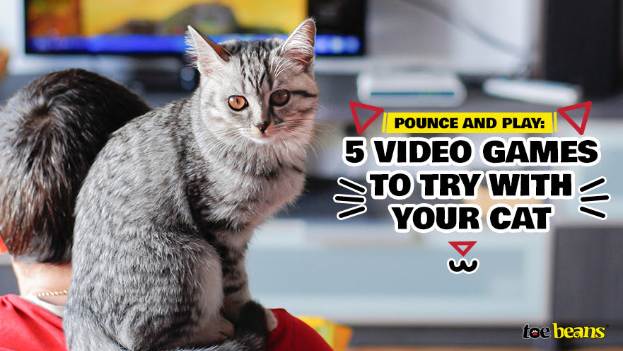 Pounce and Play: 5 Video Games to Try with Your Cat by toe beans