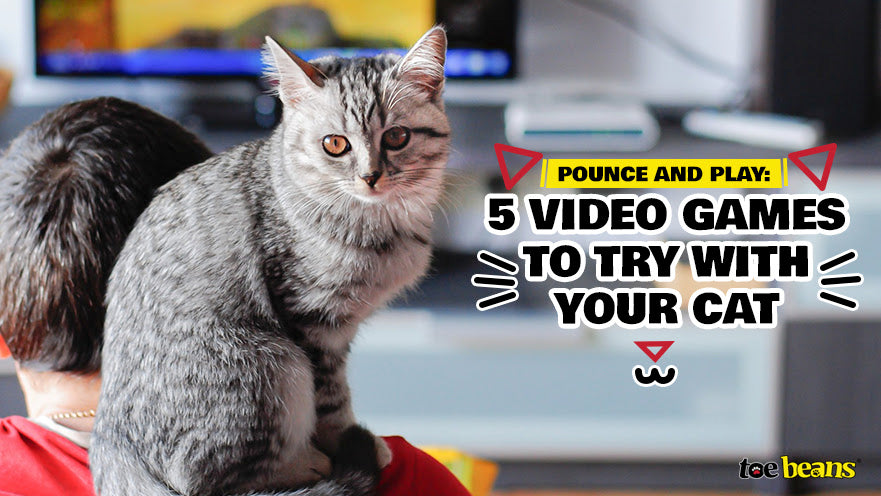 Pounce and Play: 5 Video Games to Try with Your Cat