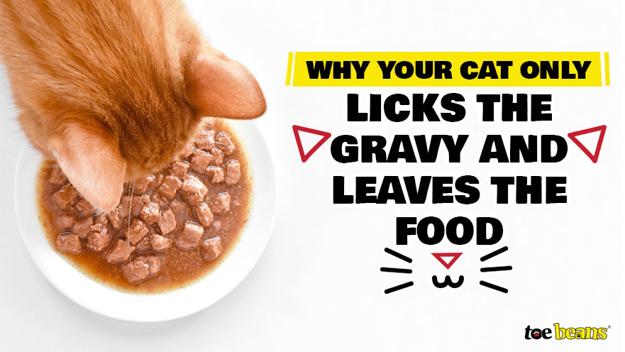 Why Your Cat Only Licks the Gravy and Leaves the Food