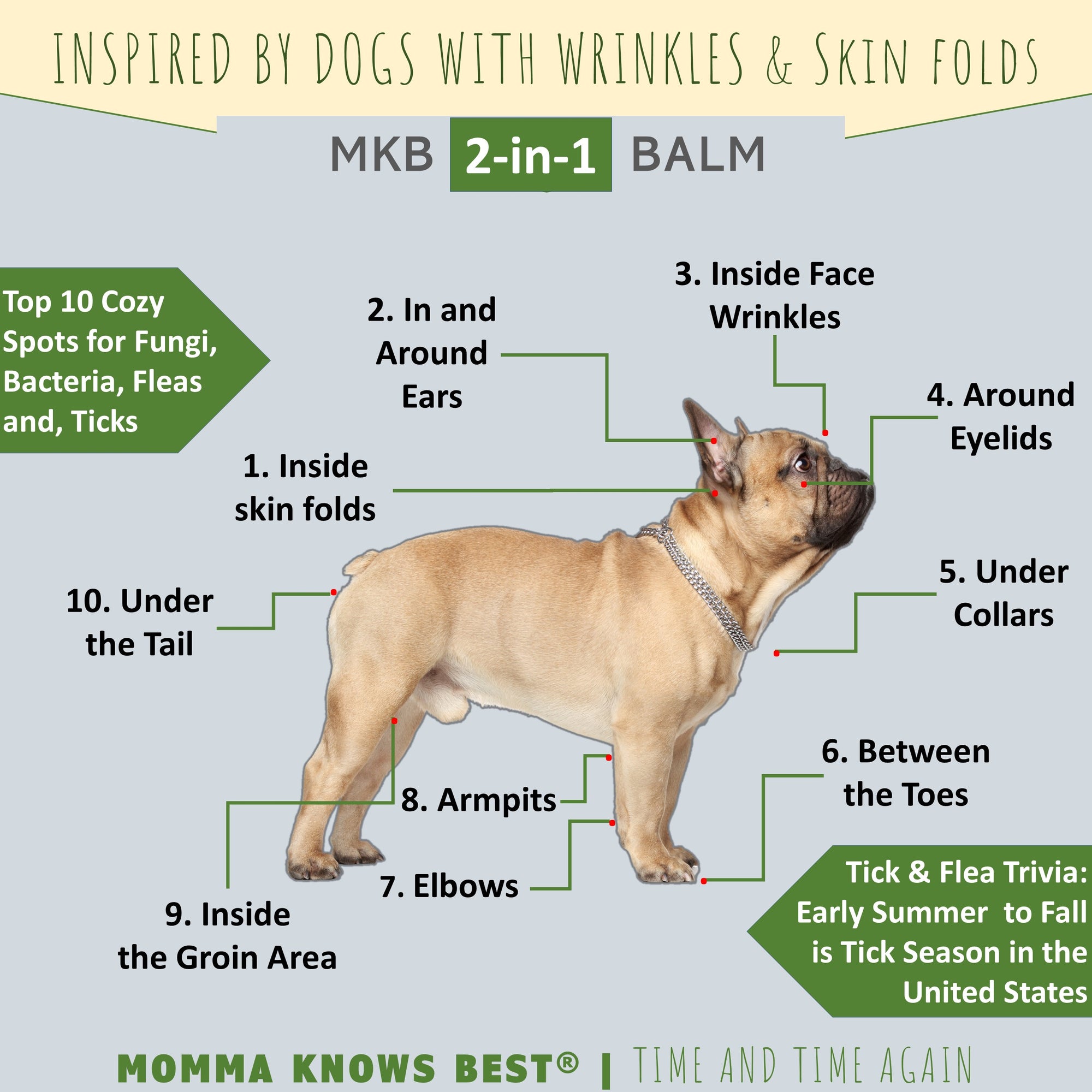 10 Cozy Parts for Bacteria, Yeast, Fleas and Ticks on Dogs By Momma Knows Best