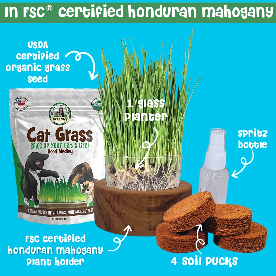 Cat grass in FSC certified mahogany