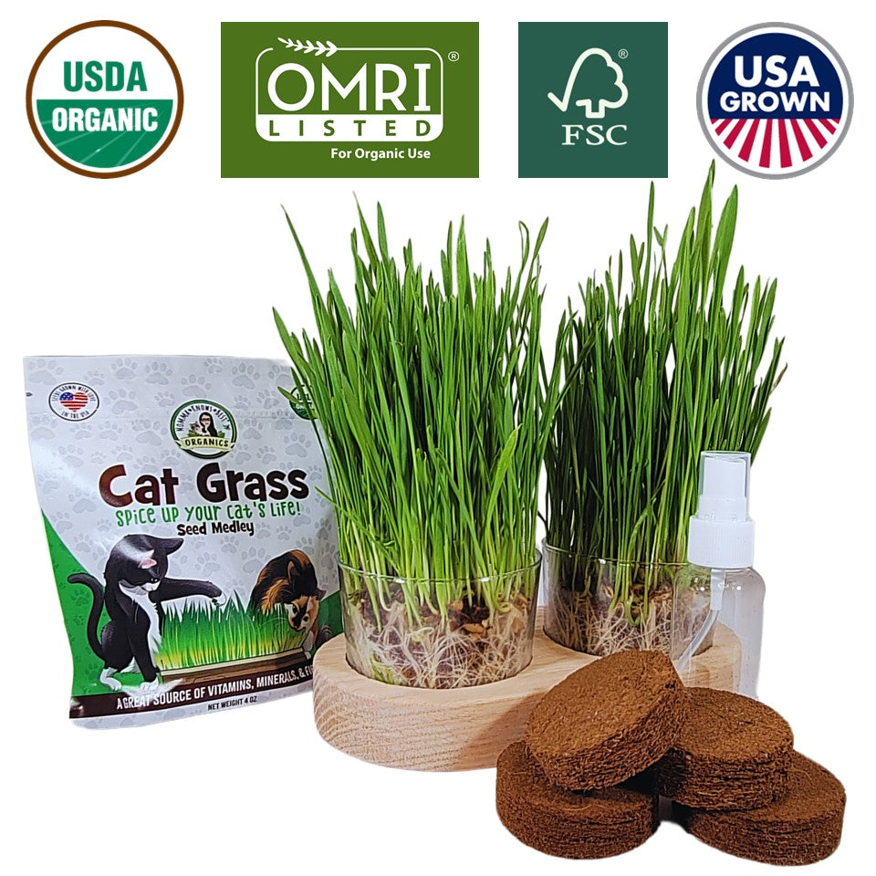 cat plant seeds USDA Organic Cat Grass Seeds Growing Kit