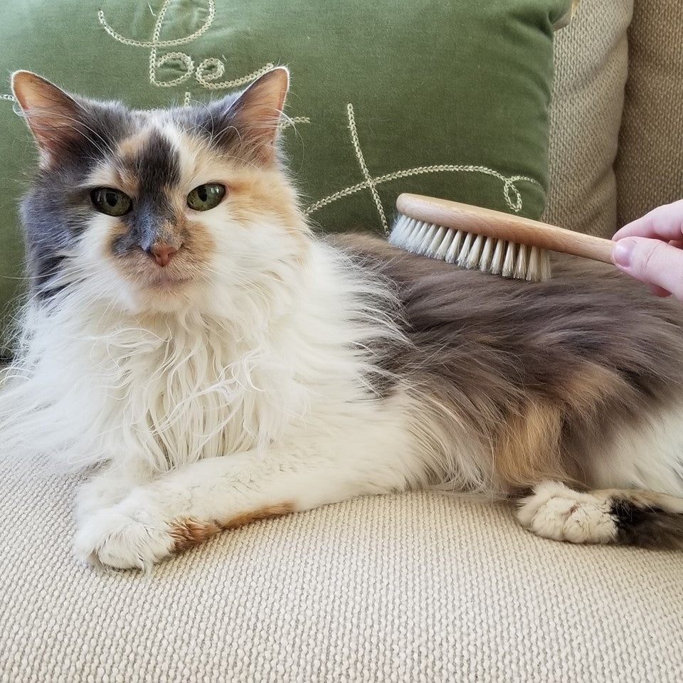 Buy Best Deshedding Cat Brush Natural Fibers toe beans